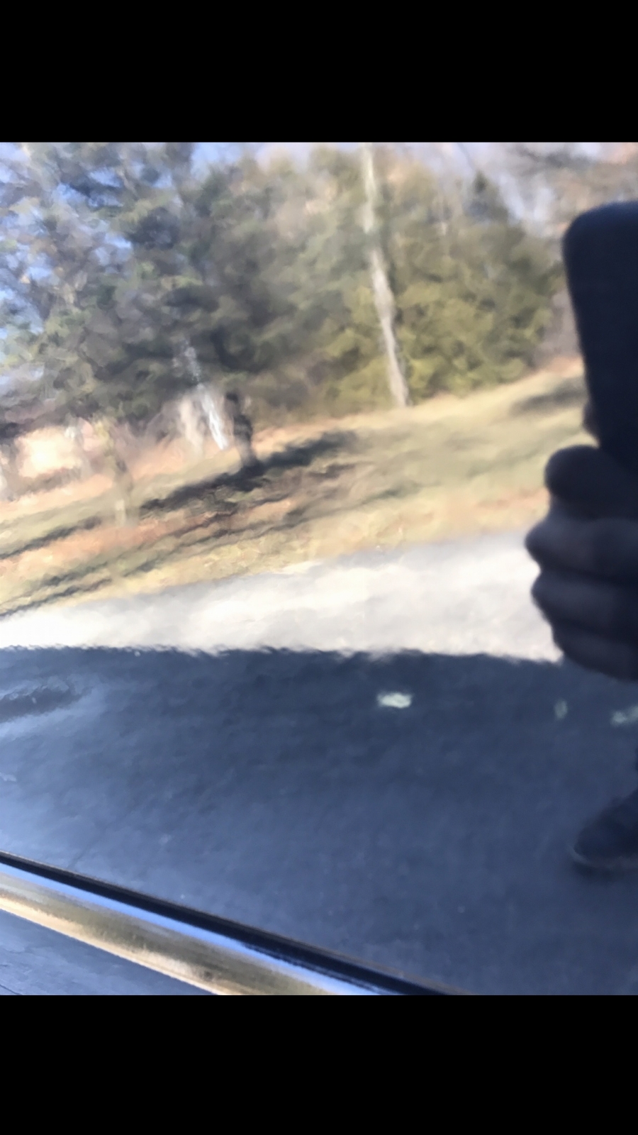 23a2ac51cc67fbc0e5db069704528c0f.jpg