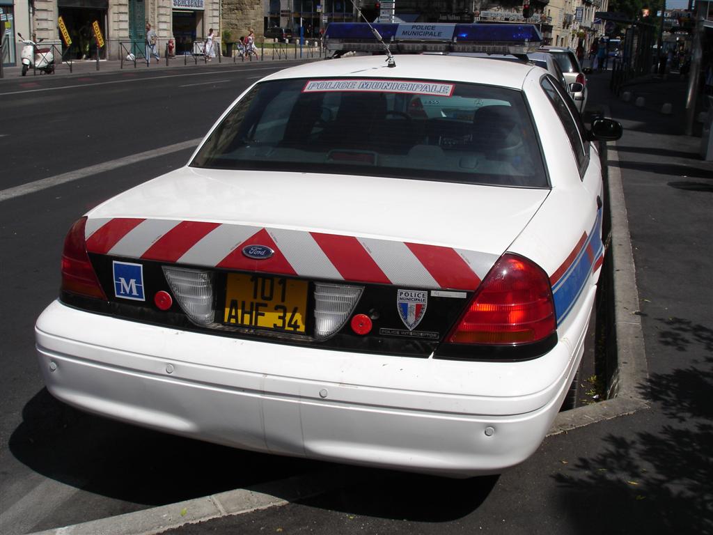2502df856e.jpg
