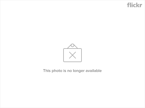 2506756687_628d2a8de1.png