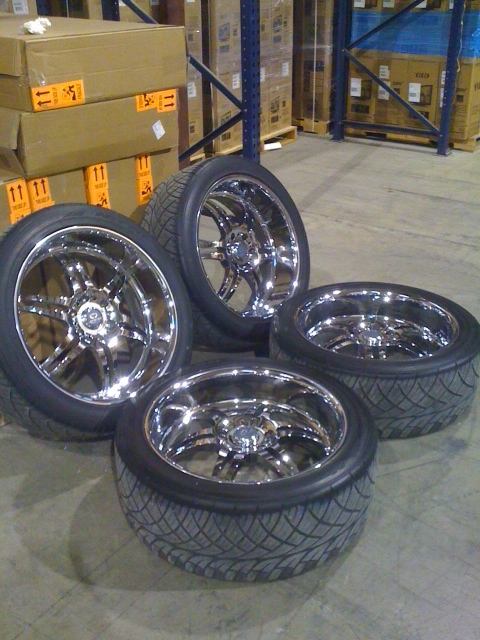 33598254025_large.jpg