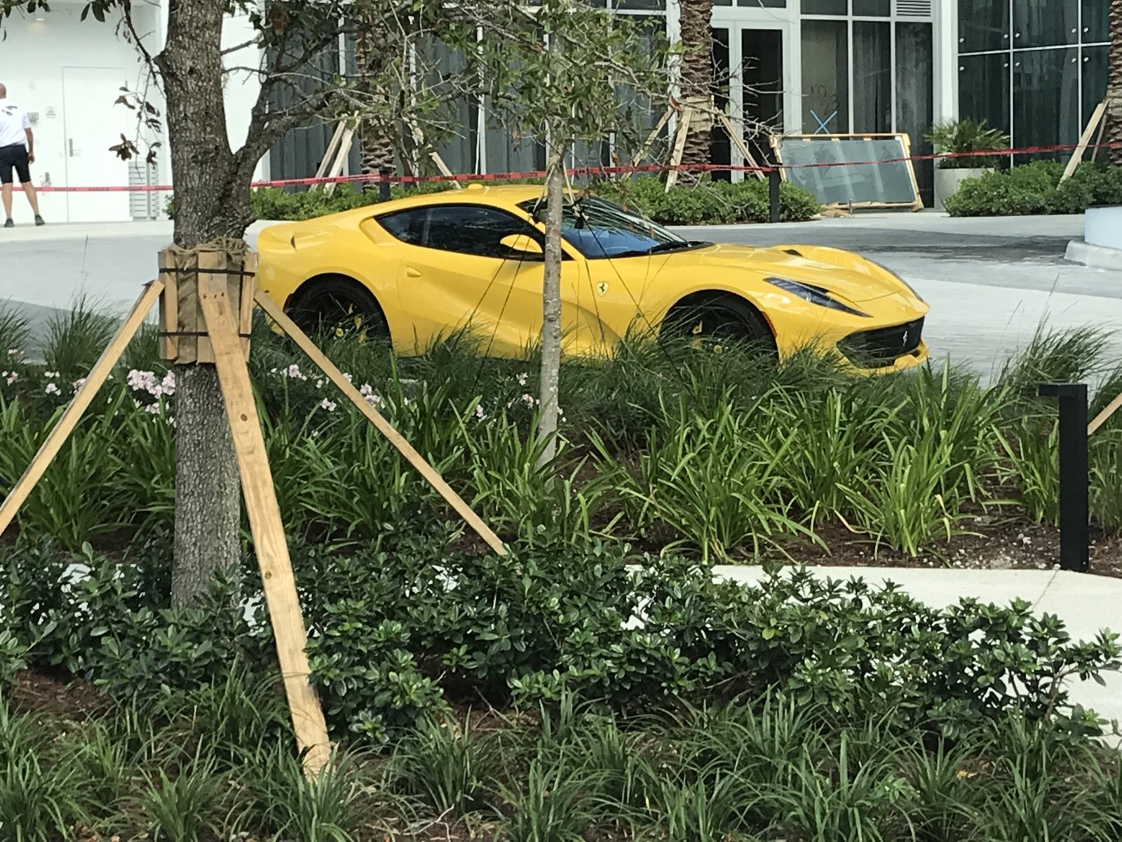 3F1619D4-1E3E-4907-A098-7BDDCF2E693B.jpeg
