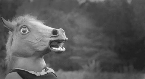 476a0c697b12a7ef54d242401ae2b6aa.gif