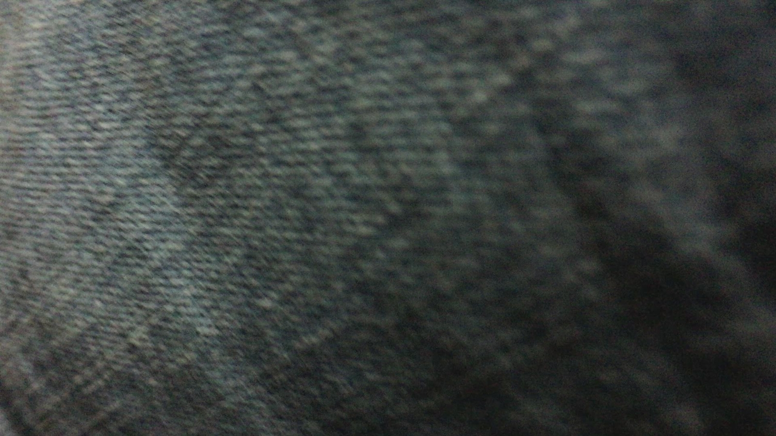 49916280396_5b92c28bb5_k.jpg
