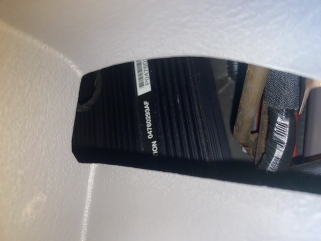 503AA221-7851-41D9-9A56-12E079321E98.jpeg