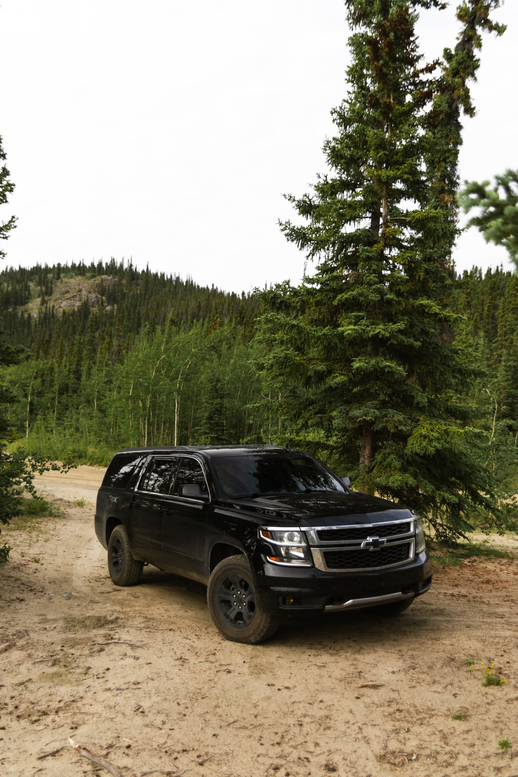 54682557357_ffd1883019_k.jpg