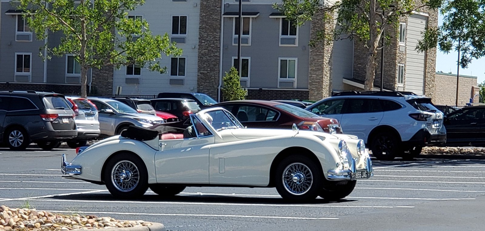55 Jag.jpg