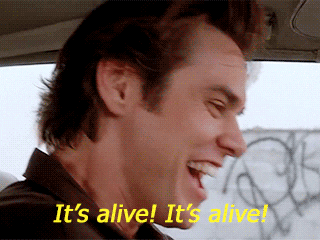 5don2gejnfs2gldz0xycoj5qnijvvhfqlk0381d3&rid=giphy.gif