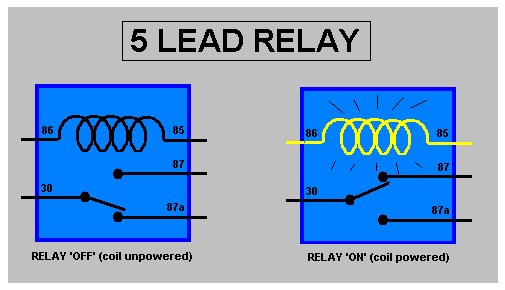 5leadrelay.jpg