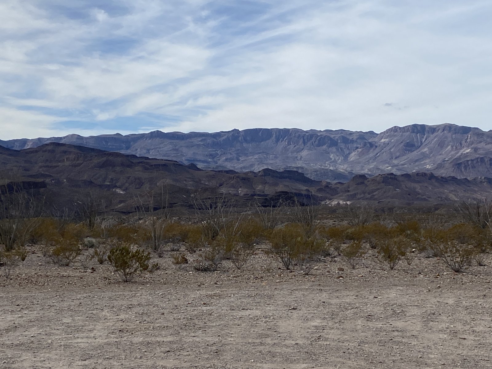 66E14E5F-BF1A-4A39-B236-F0967385FFC0.jpeg