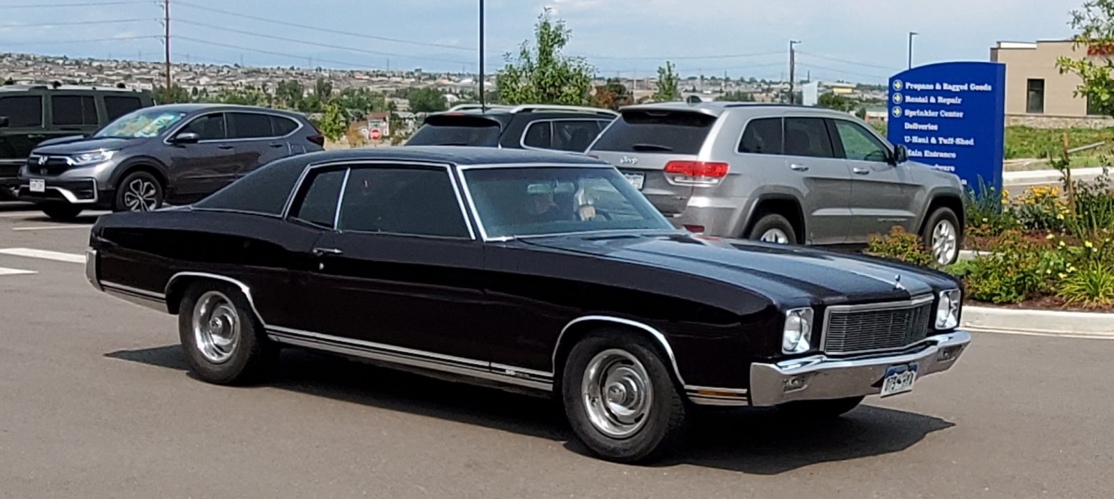 71 Monte Carlo.jpg