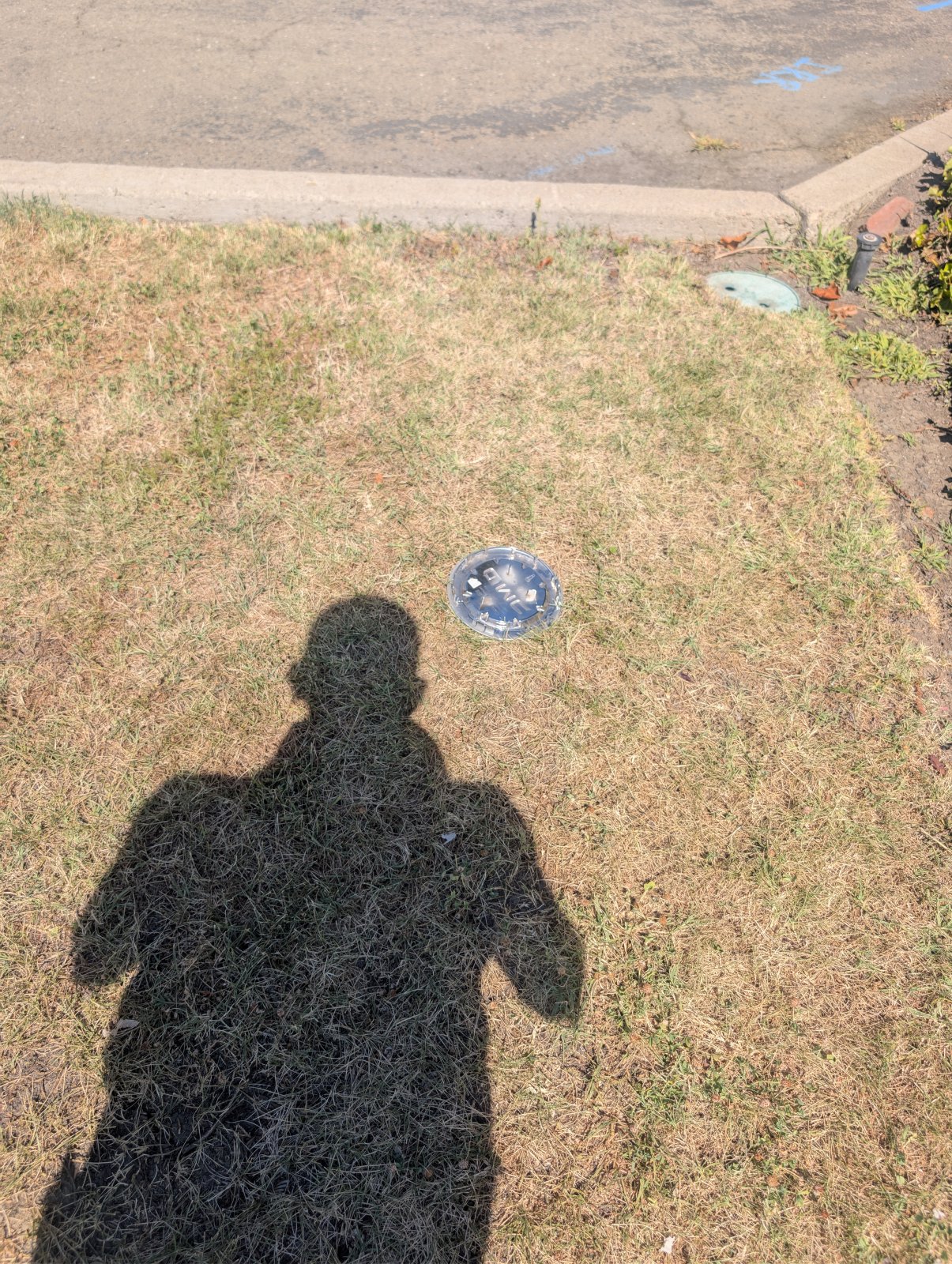 7554.jpg