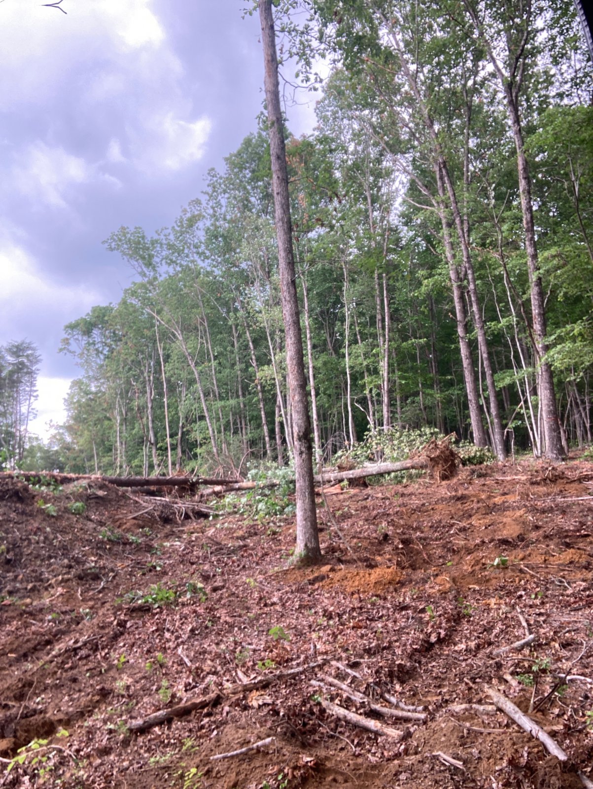 77300118234__818CAAF1-55A5-4C9F-BED7-013E8DE46E1E.jpeg