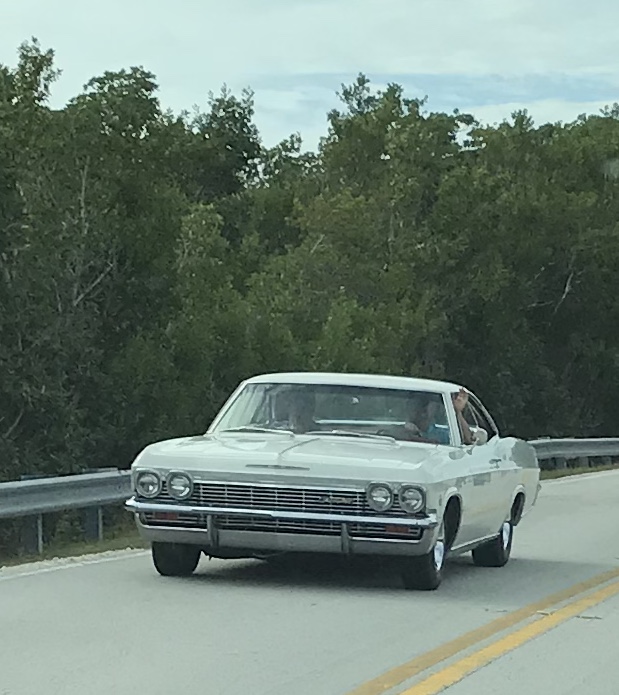 84ADE916-F39D-4505-827F-3A67E2286D5B.jpeg