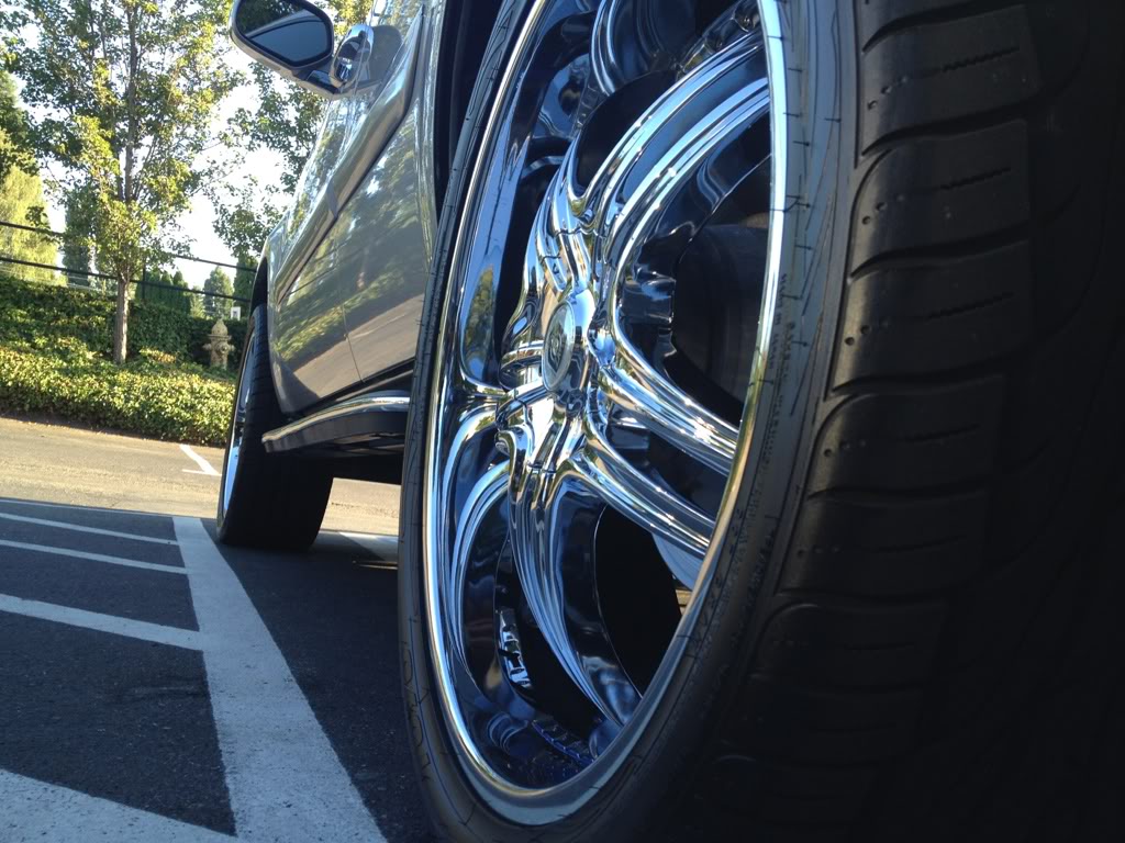 98A42389-0CE3-424D-84CE-179558F4D060-1470-0000017A77014DA2.jpg