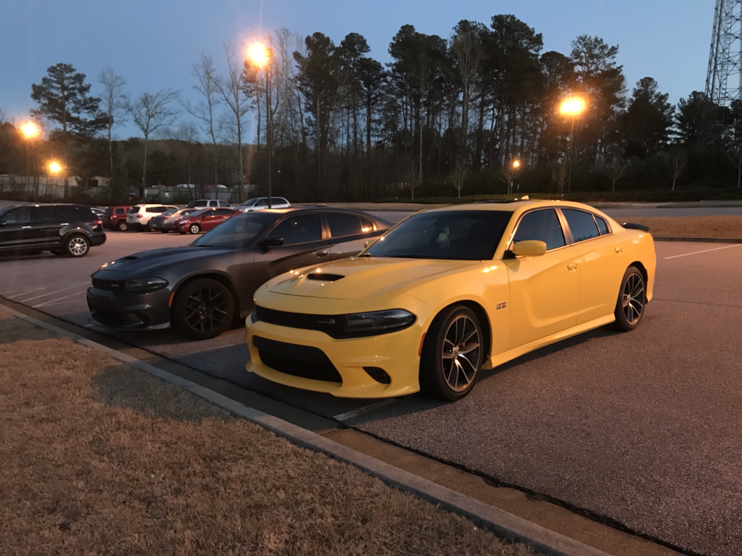 ac90f9b9c531e336671d5fe47687673e.jpg