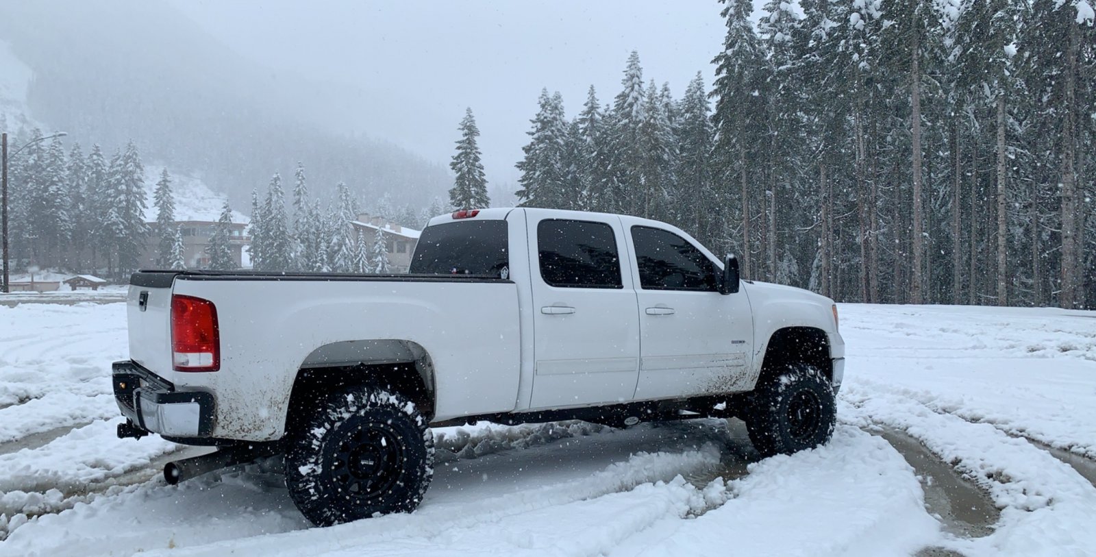 Alli Stevens Pass Rear.jpg