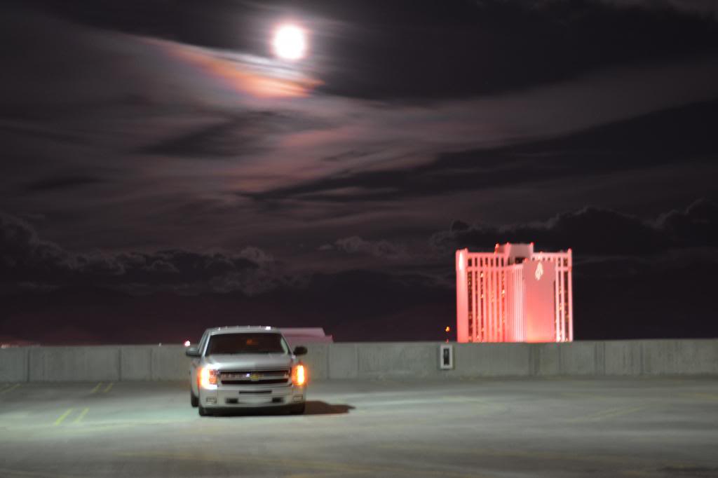 ALX_0404-1.jpg