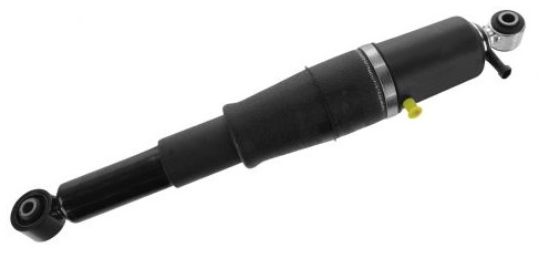 Arnott_Rear_Air_Shock.jpg