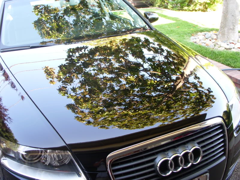 Audi-6-7-09020.jpg