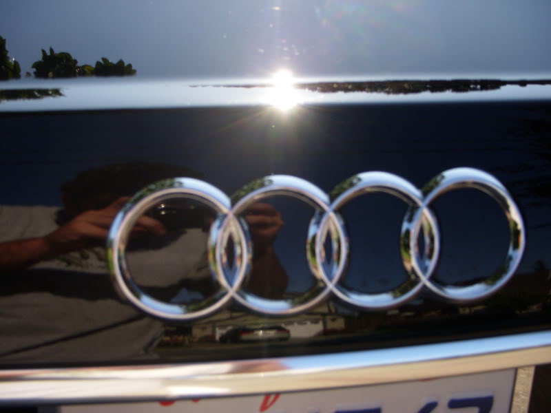 Audi-6-7-09032.jpg