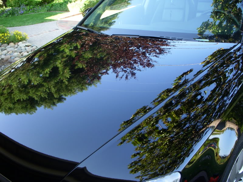 Audi-6-7-09044.jpg