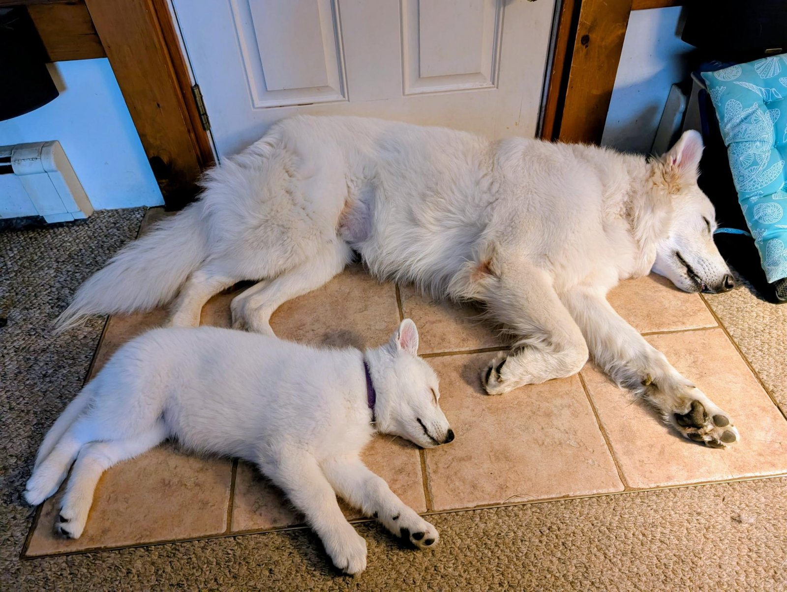 Best Friends.jpg