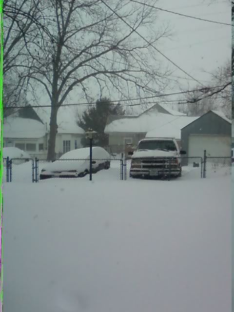 blizzardcars.jpg
