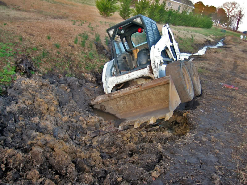 BOBCAT1.jpg