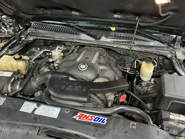 C2E86171-EED1-4691-8D71-875E88CC9CD7.jpeg