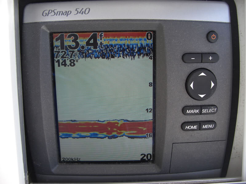 CIMG6378.jpg