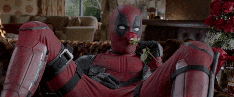 cjgzerzdpiqmiet0op7r3lxvodzbd35dwasctl7x&rid=giphy.gif