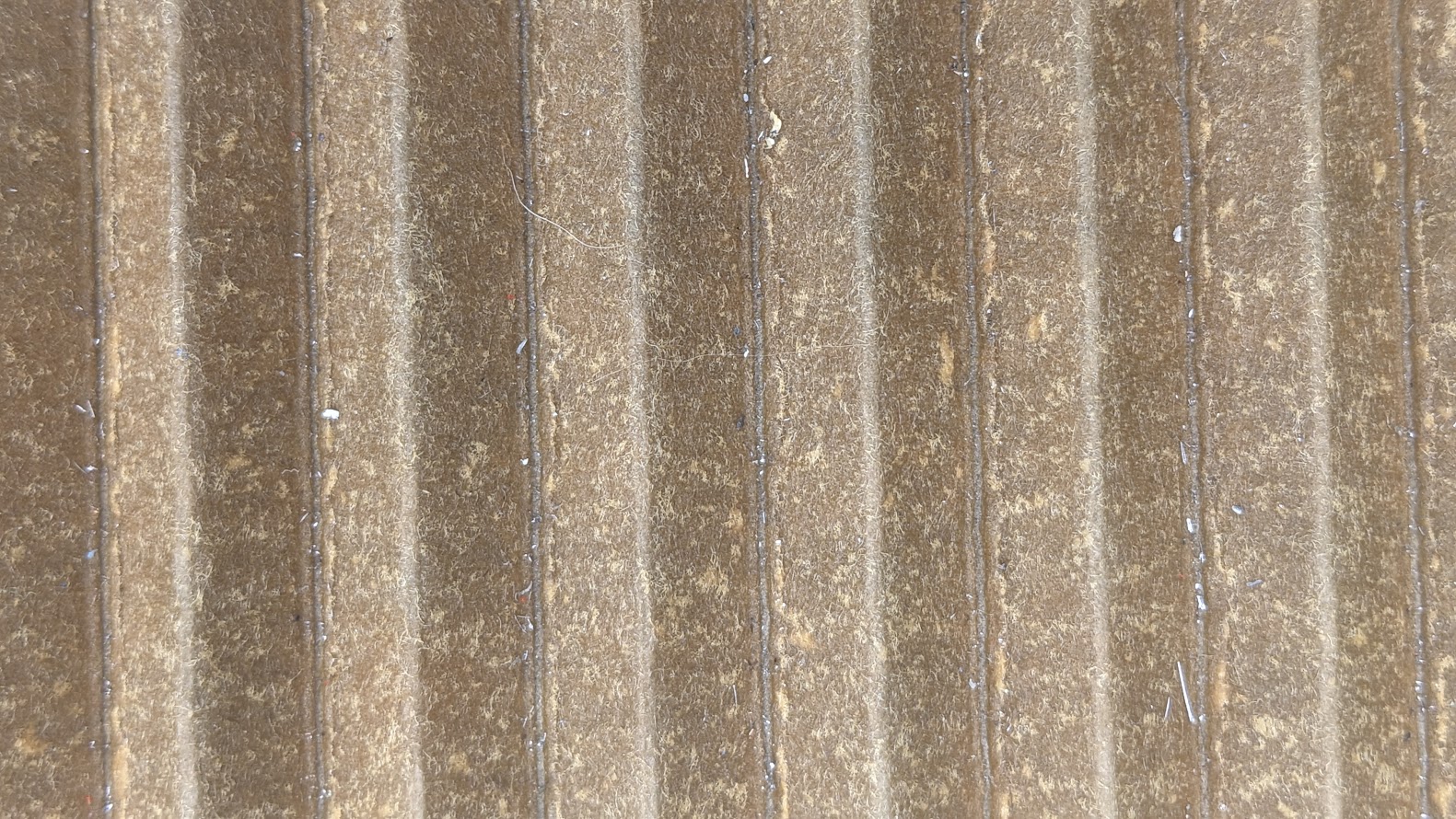 Close Up #2.jpg