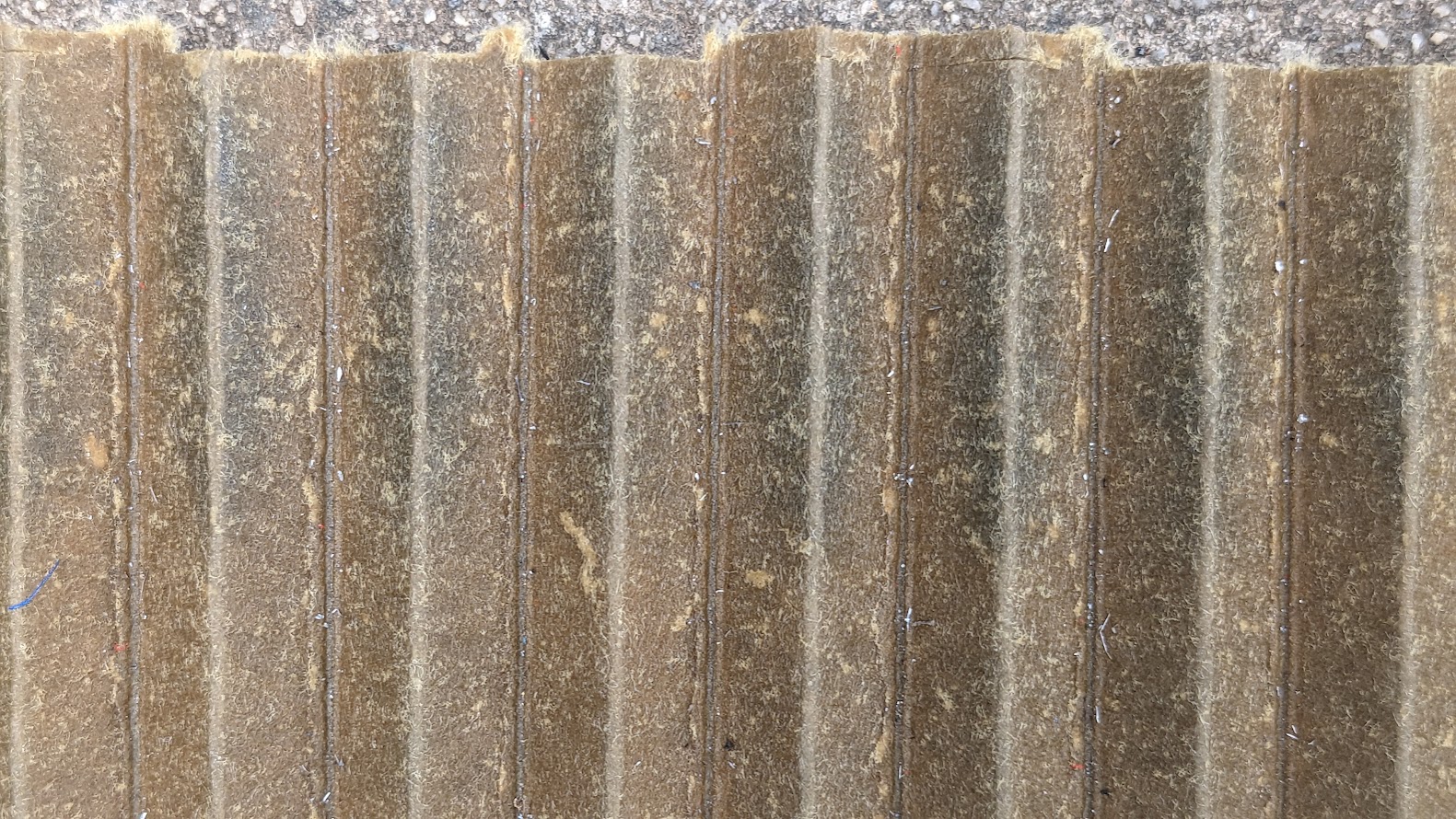 Close Up #3.jpg