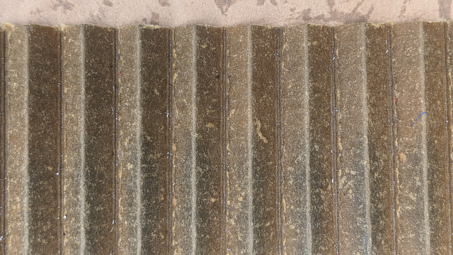 Close Up #5.jpg
