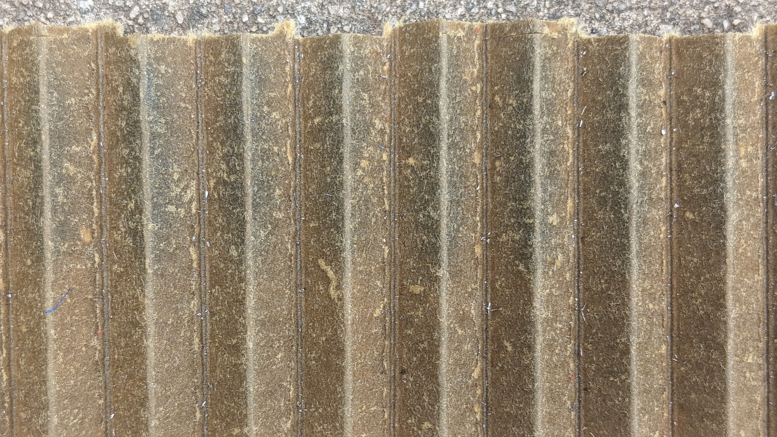 Close Up #6.jpg