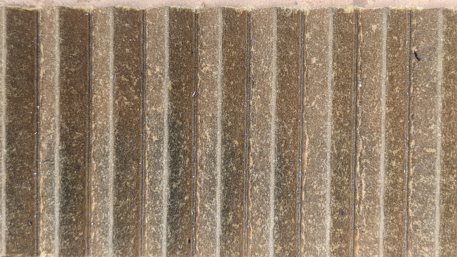 Close Up #7.jpg