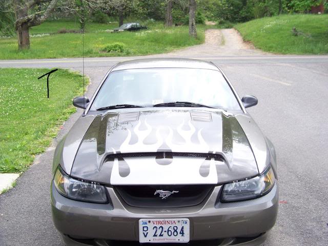 craigslistpics003.jpg