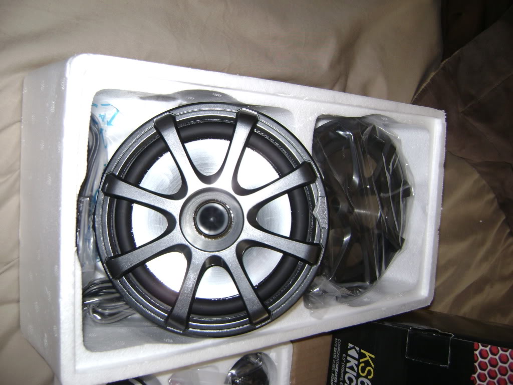 DSC01124.jpg