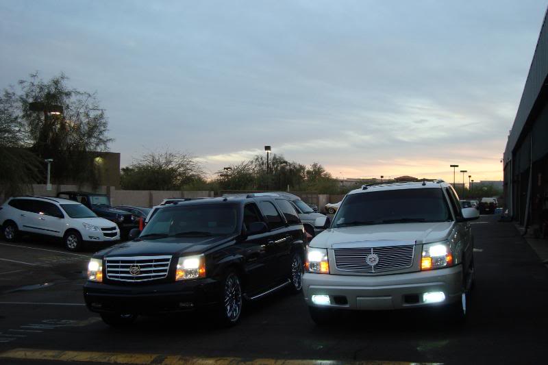 DSC01293.jpg