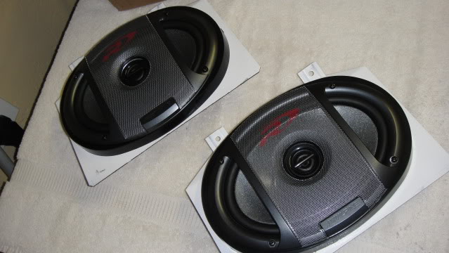 DSC02361.jpg
