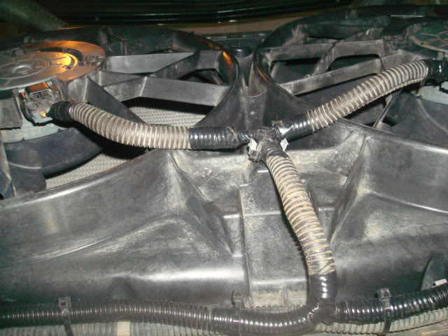 DSC03177.jpg