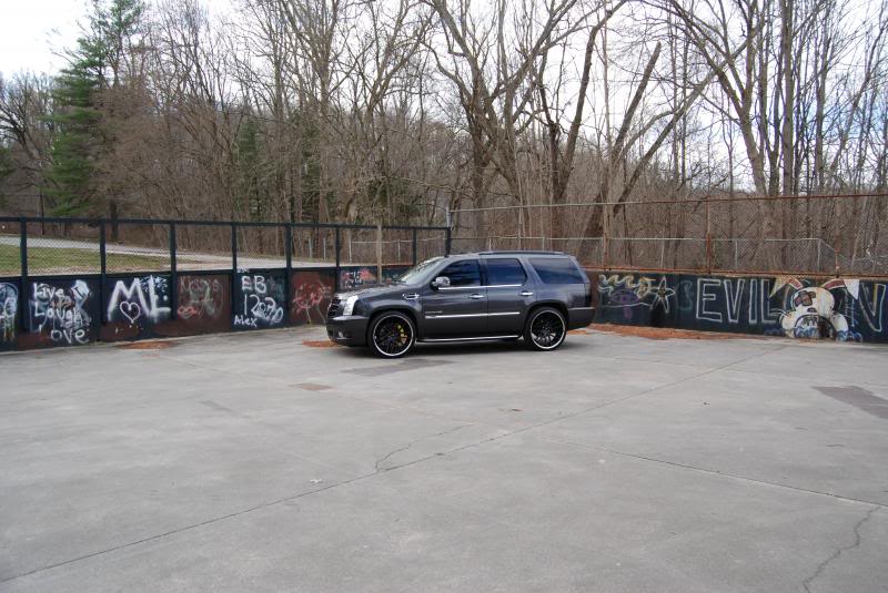 DSC_0295_zps98311843.jpg