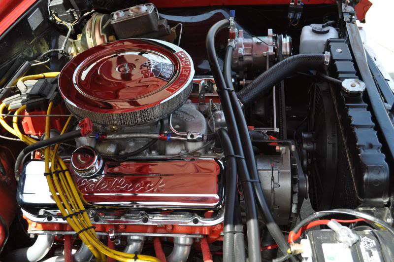 DSC_0757_zps9bd8643b.jpg