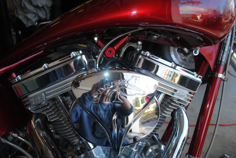 DSC_0818.jpg