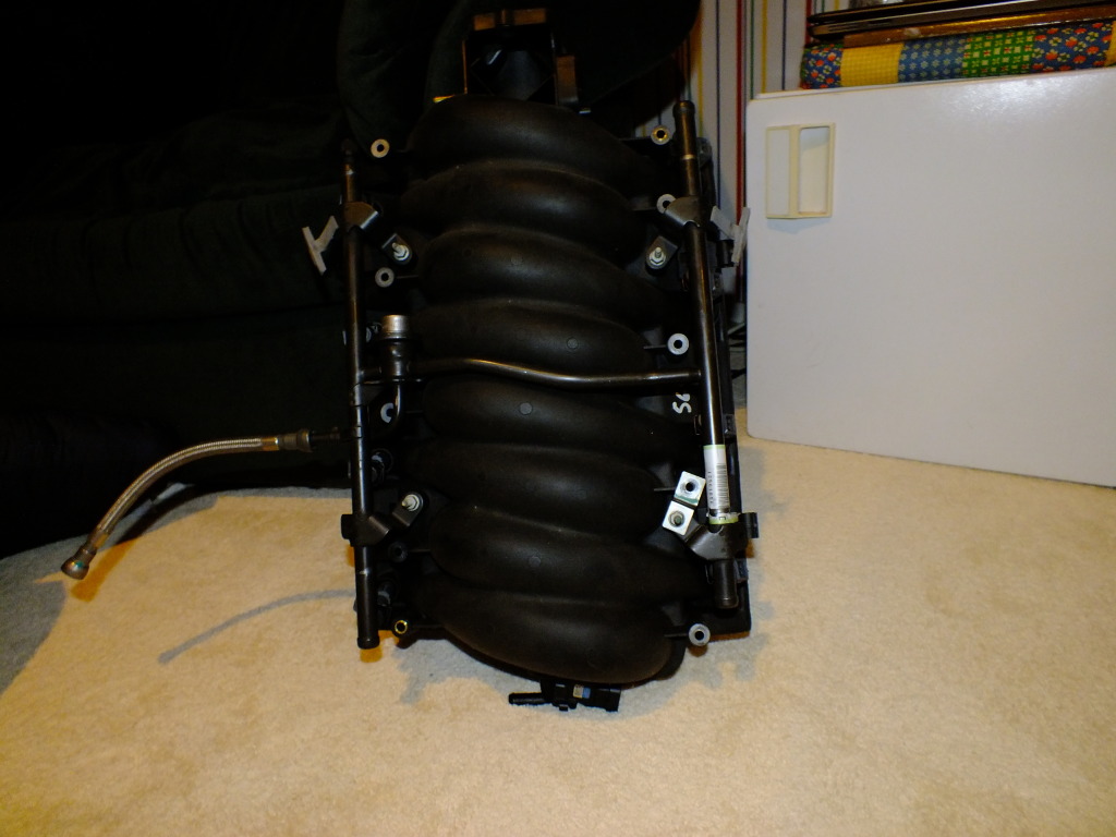 DSCF0477.jpg
