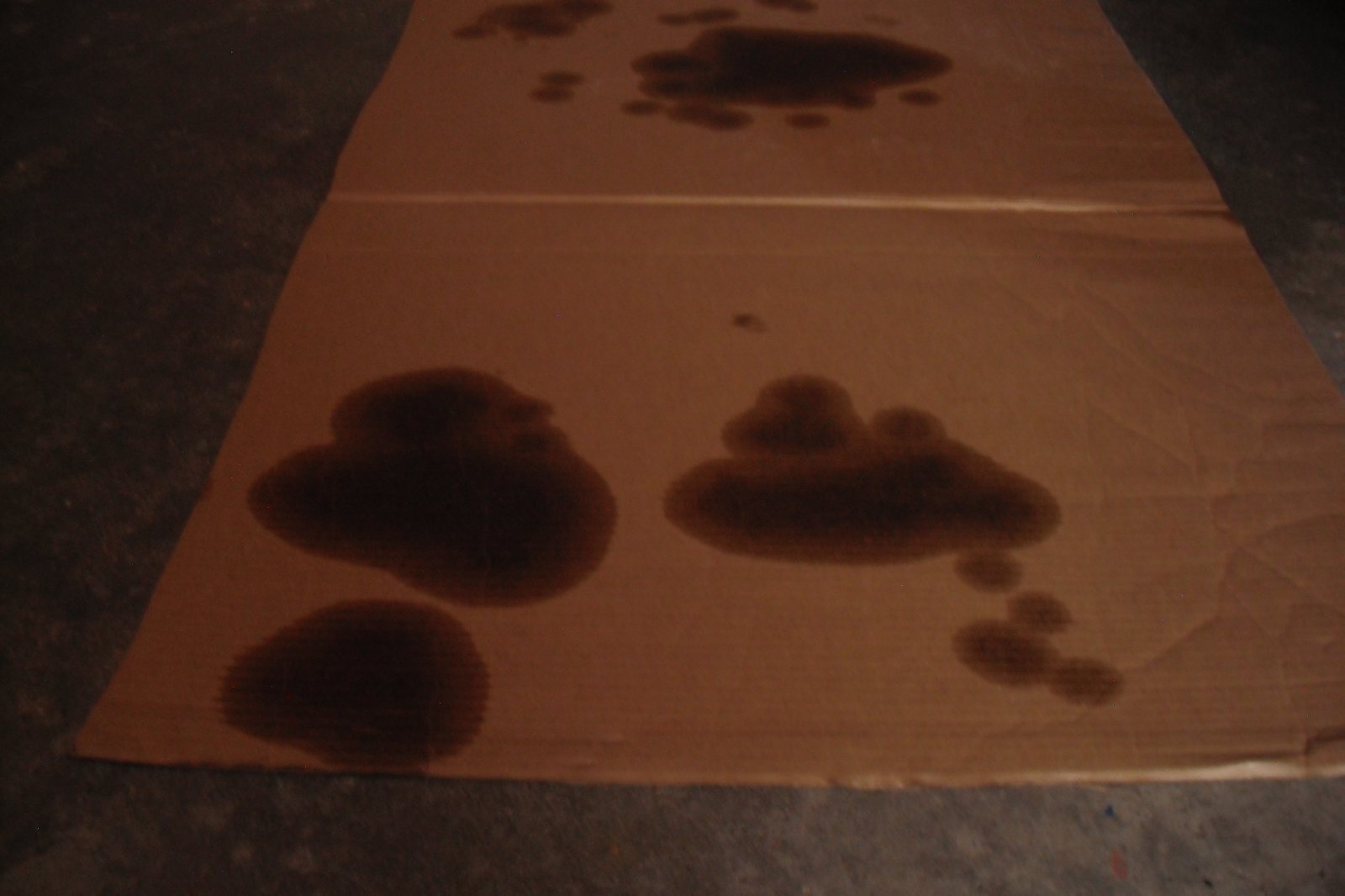 DSCF4058.JPG