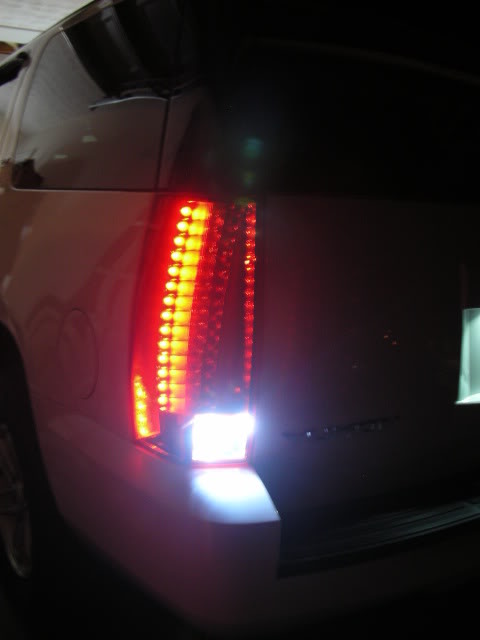 DSCN0484.jpg