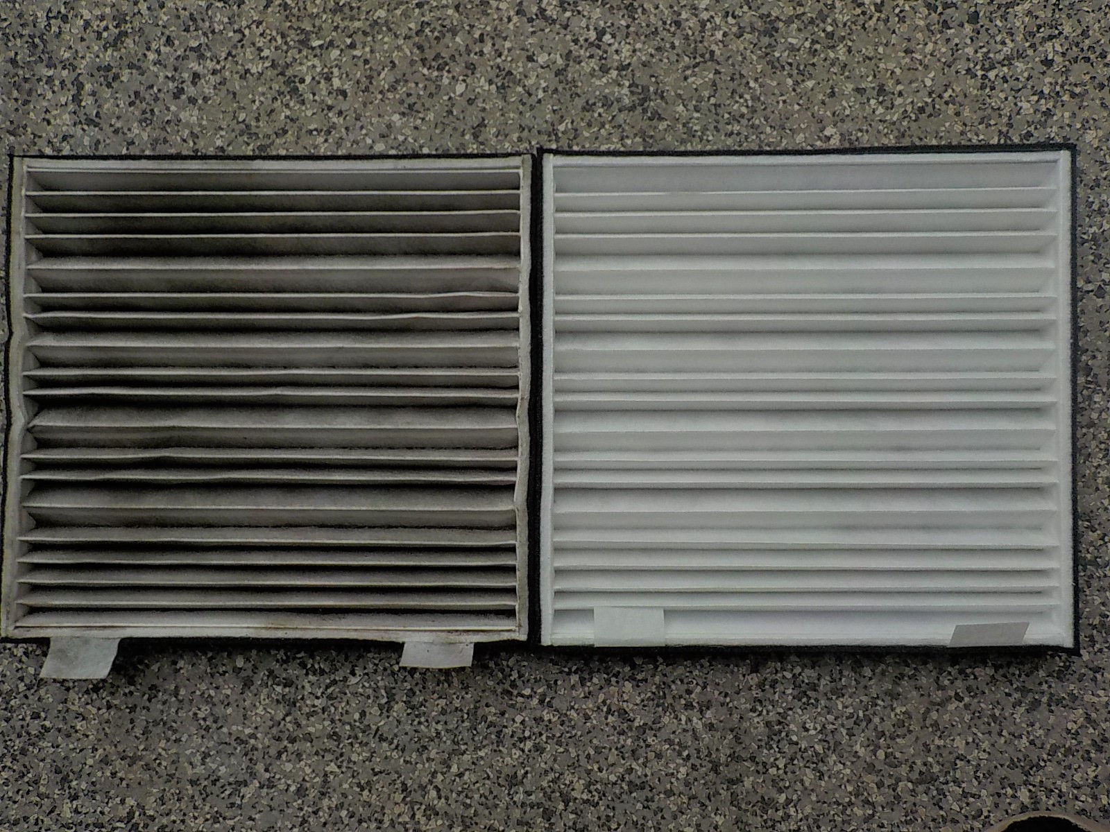 DSCN7880.JPG