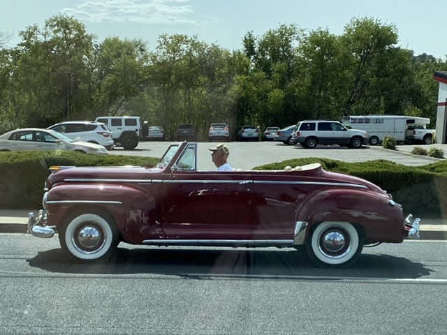 E29C0627-736E-4619-B144-9E4263C4E415.jpeg