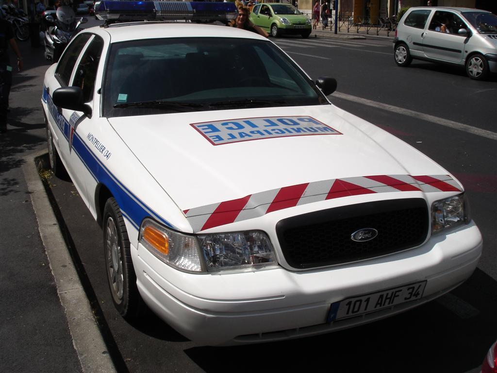 e63236e525.jpg